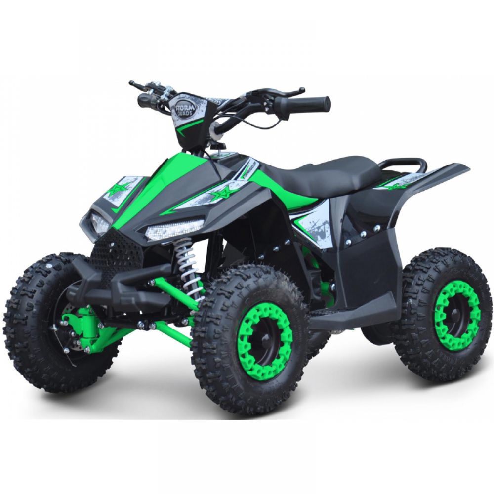 Renegade Ranger 1000 watts 48 volts E-quad