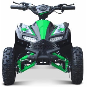 Renegade Ranger 1000 watts 48 volts E-quad